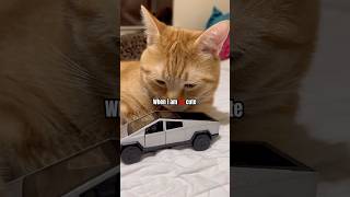 Am I Cute With My Tesla Truck ?
