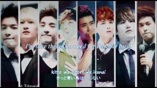 Watch Super Junior Destiny korean Version video
