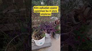 Kim Uykudan Uyanır Uyanmaz Bu 4 Sözü Söylerse