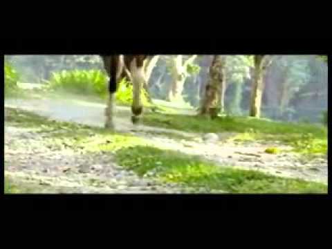 phool diyara maya by Agantuk Kharel
