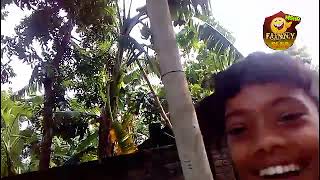 টাইগার বনাম মানুষ ফুটবল খেলা।football with tiger. funny videos ..hahahaha