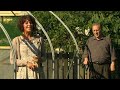polytunnels