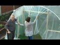 polytunnels