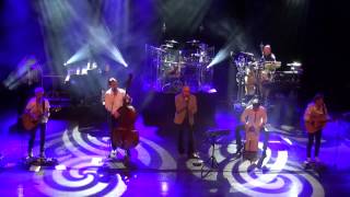 Watch Cats Lonely Nights video