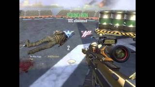 The Wise Viggy - Black Ops Ii Game Clip