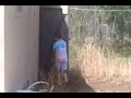 Funny Dancing Kid Moves Like Jagger images Funny Dancing Kid Moves Like Jagger