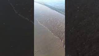 Tarde Soleada Y Tranquila - Playa De Retamar Almería