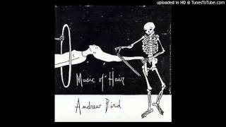 Watch Andrew Bird Pathetique video