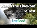 LiveRoof: Green Roof Fire Test