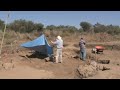 Ancient children and animal remains found in Mexican tomb