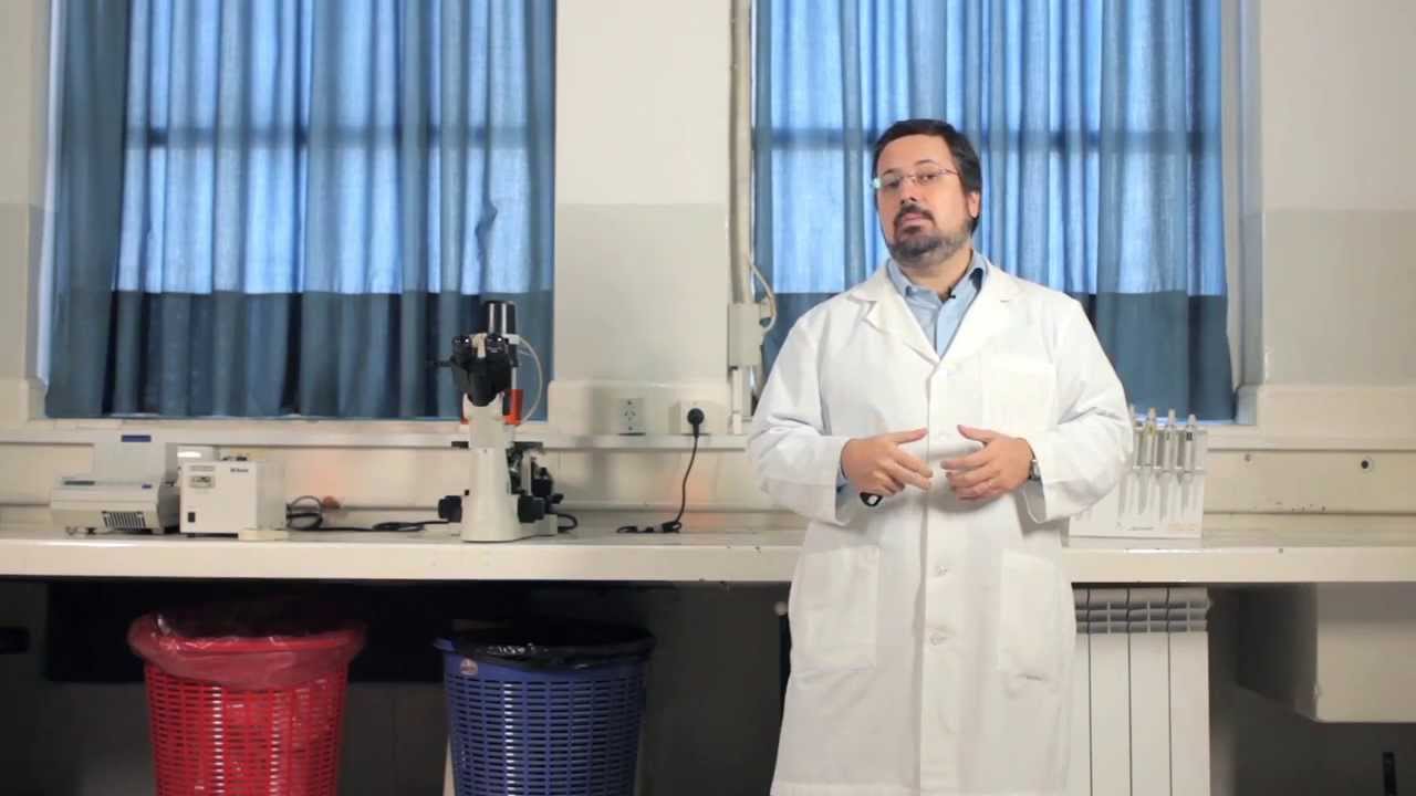 Hipoglucemiantes orales 2 parte: glinidas, glitazonas e Hipoglucemiantes orales 2 parte: glinidas, glitazonas e