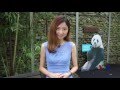走进美国：专访“全球熊猫爱心大使”黄晓明