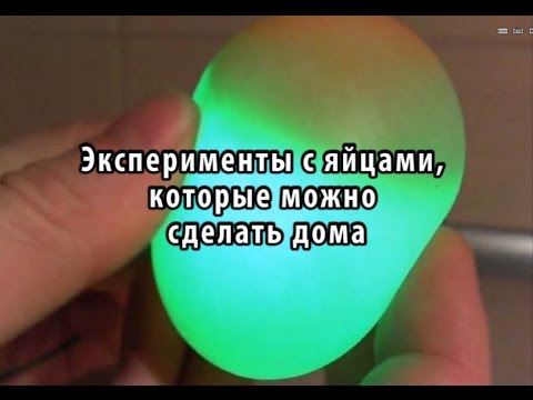 Опыты которые можно провести в домашних условиях видео