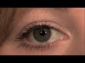 cat eyes