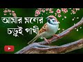Amar monar chorui pakhi || আমার মনের চুড়ুই পাখী|| Bangali Old songs #RBMusic
