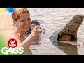 Canadian Crocodile Attack