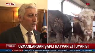 Şap Hastalığı Nedir? Şaplı Etlerden Tüketiciye Bulaşma Olasılığı Var Mı? Akit Tv- Ana Haber
