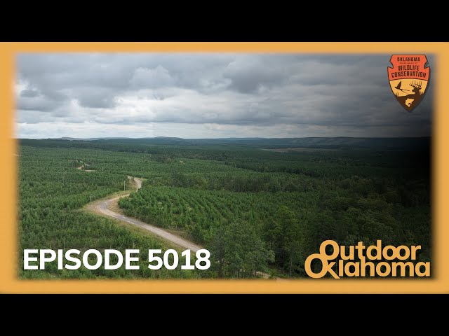 Watch MONSTER DEER & HIDDEN WILDERNESS, WETLAND WONDERS, YOUTH HUNTING WITH A HEART on YouTube.