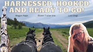A Family Trip To The Mountains By Horse-Drawn Wagon Camping Near A Creek