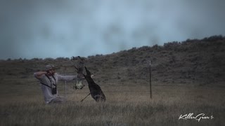 Antelope Fan Promotion Launch Video