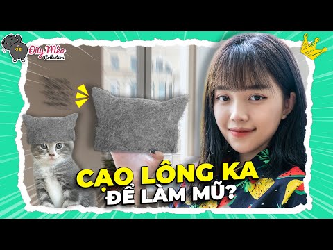 Lần Đầu Tự Làm Chiếc Mũ Từ Lông Lũ Mèo | ĐŨY MÈO COLLECTION