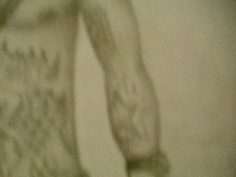 Lil Wayne Drawing Pictures. a drawing of lil wayne