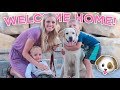 SWEET PUPPY REUNION! We Finally Have Our Dog Back!