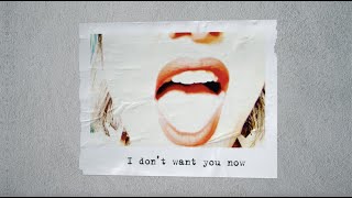 Watch Kt Tunstall I Dont Want You Now video
