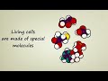 Can Science Explain the Origin of Life?