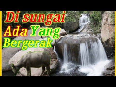 Di sungai ada yang bergerak