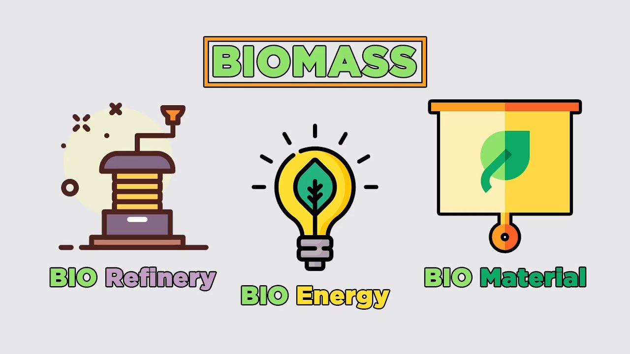 Bio-Based Materials for Circular economy