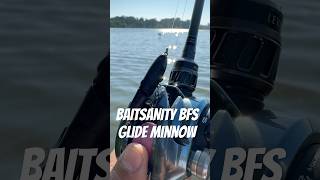 Custom Blacked Out Bfs Glide On My Bfs Setup.