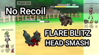 Hisuian Arcanine Smashes Everything Pokemon Showdown Random Battles High Ladder