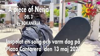 Babak Apelsintorget Taube 210513 Bokanerja