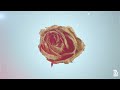 Sleeping With Sirens - Free Now (New album out June 4th)