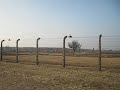 Lessons from Auschwitz