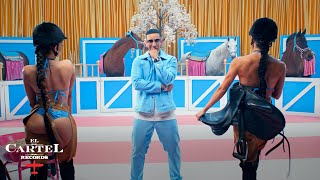 Watch Daddy Yankee El Pony video