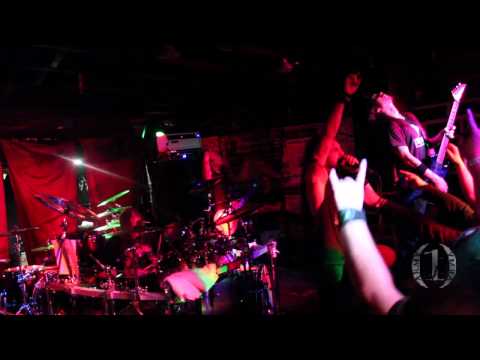 Live at Bogie's