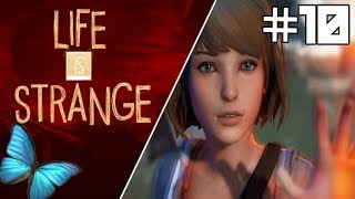 Ergen Kizlar İş Başinda Life Is Strange