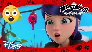 Mucize: Uğur Böceği ile Kara Kedi I Marinette Her Şeyi Mahvediyor! 😧I Disney Cha