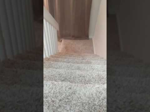 Eleven Video