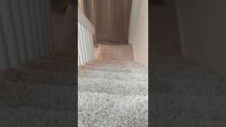 Watch Stairs Eleven video