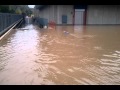 Vicenza 01-11-2010: alluvione bacchiglione viale trento