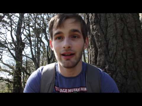 Dissertation video