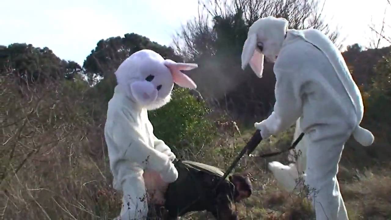 Две лесби в костюмах кролика фото