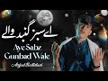 Aye Sabz Gumbad Wale | Amjad Baltistani | اے سبز گنبد والے | Heart Touching Naat | New Naat 2024
