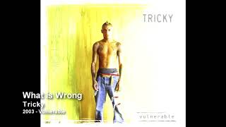 Watch Tricky What Is Wrong video