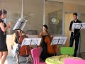 Ibiza Classical Ensemble