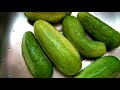 Canning Dill Pickles - Delicious, Easy Recipe