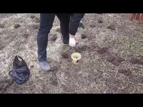 Антикрот своими руками Антикрот своими руками